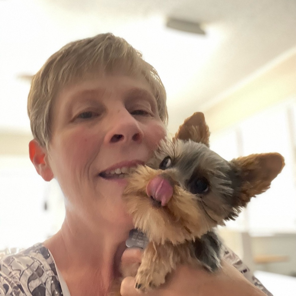 Our Yorkie boys Bentley and Arnold